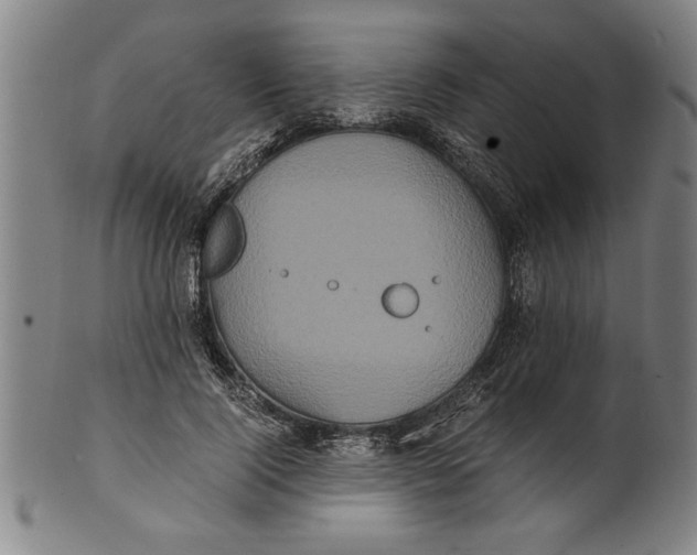 X0000101950740200808081505