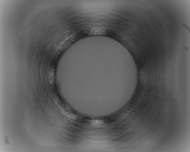 X0000101950741200808081505