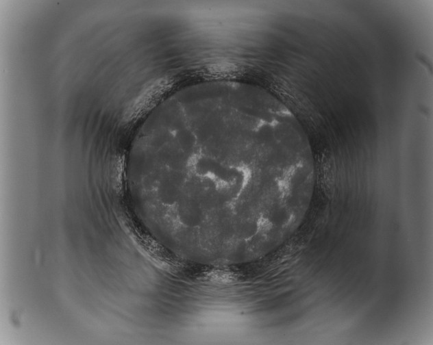 X0000101950742200808081505