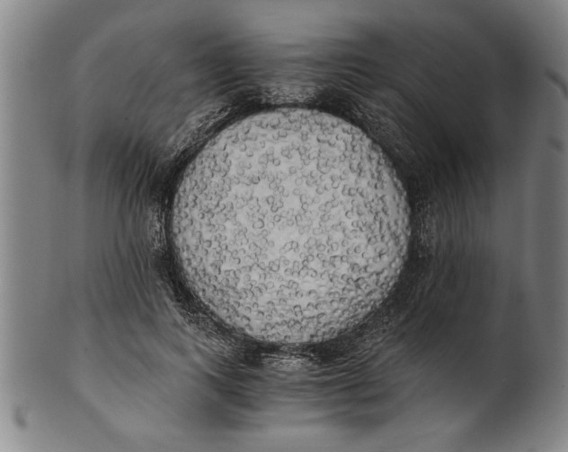 X0000101950743200808081505