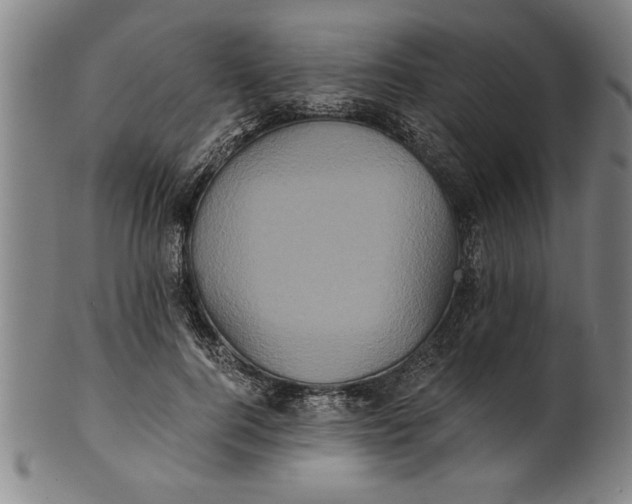 X0000101950744200808081505