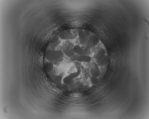 X0000101950745200808081505