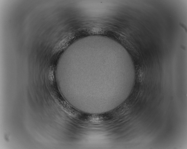 X0000101950746200808081505