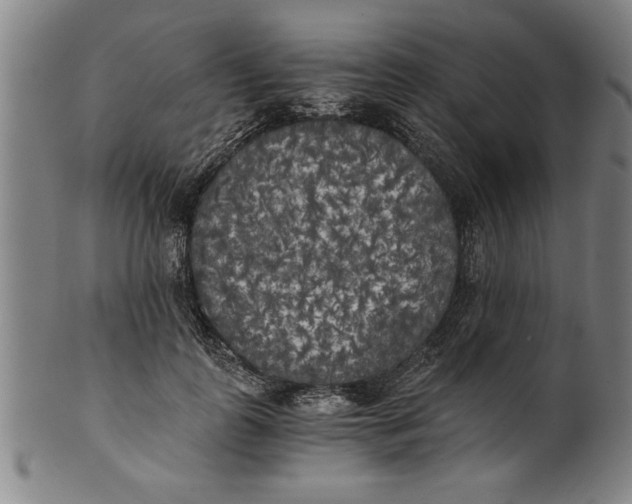 X0000101950747200808081505