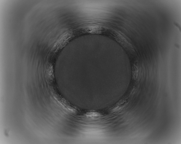 X0000101950748200808081505