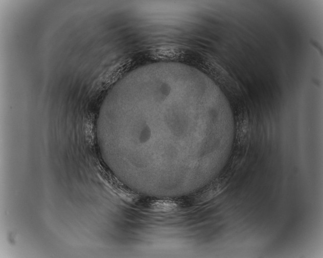 X0000101950749200808081505