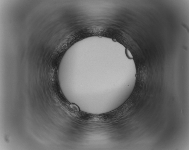 X0000101950750200808081505
