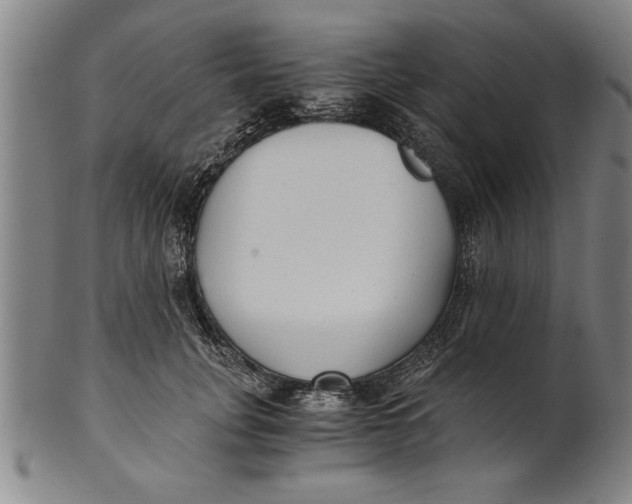 X0000101950751200808081505