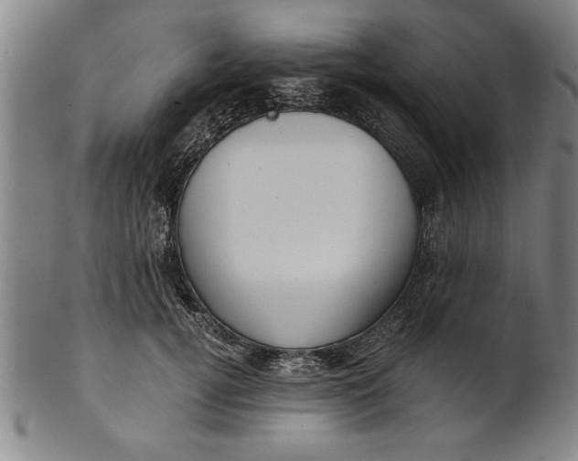 X0000101950752200808081505