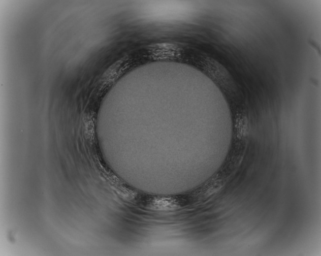 X0000101950753200808081505