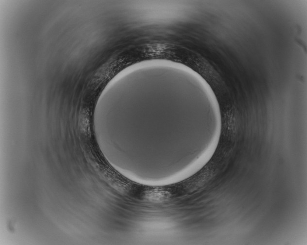X0000101950754200808081505