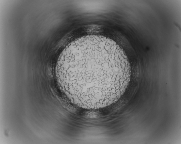 X0000101950755200808081505