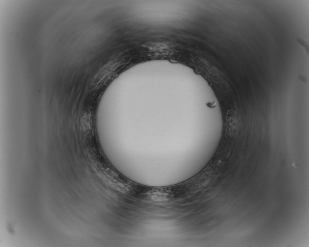 X0000101950756200808081505