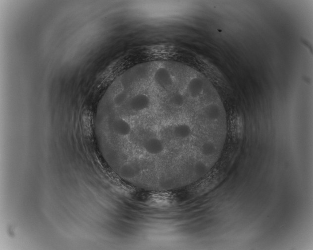 X0000101950757200808081505