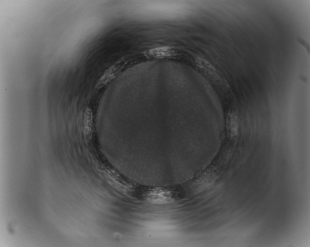 X0000101950760200808081505