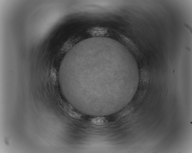 X0000101950761200808081505