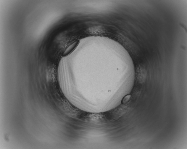 X0000101950762200808081505