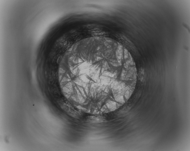 X0000101950763200808081505