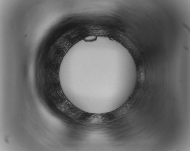 X0000101950764200808081505