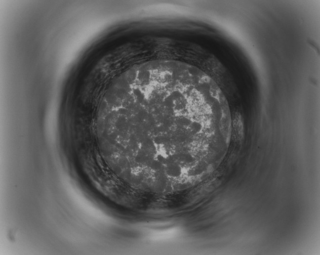 X0000101950765200808081505