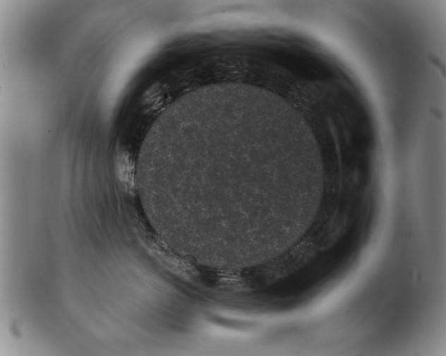 X0000101950766200808081505