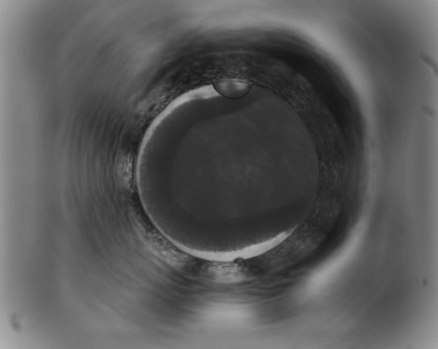 X0000101950767200808081505