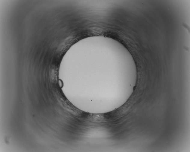 X0000101950768200808081505