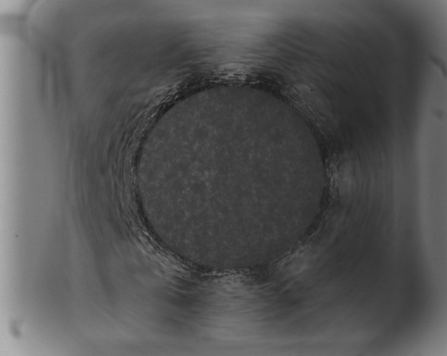 X0000101950769200808081505