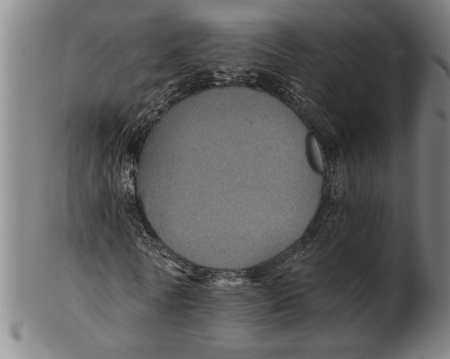 X0000101950770200808081505