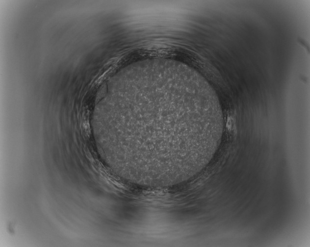 X0000101950771200808081505