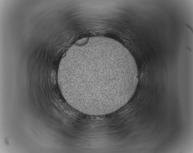 X0000101950772200808081505