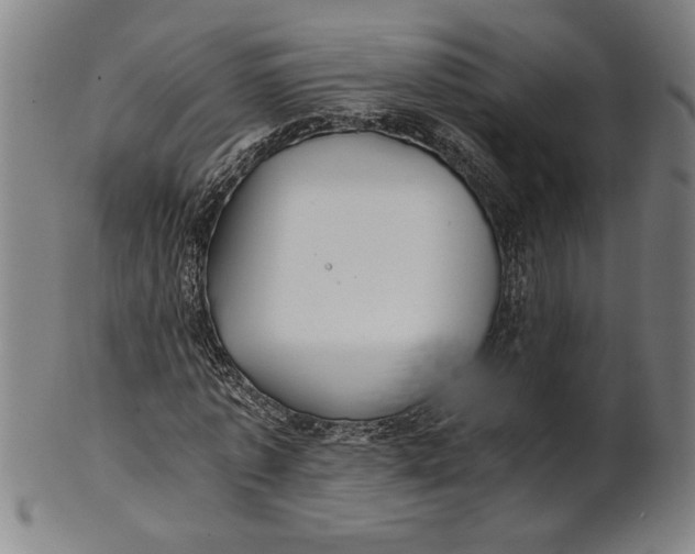 X0000101950773200808081505