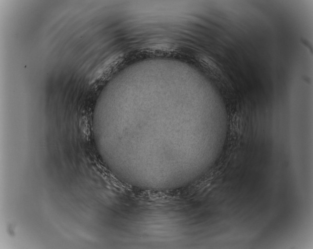 X0000101950774200808081505
