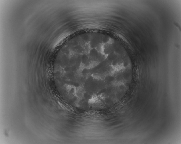 X0000101950775200808081505