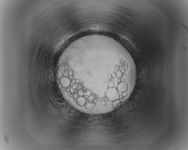 X0000101950776200808081505