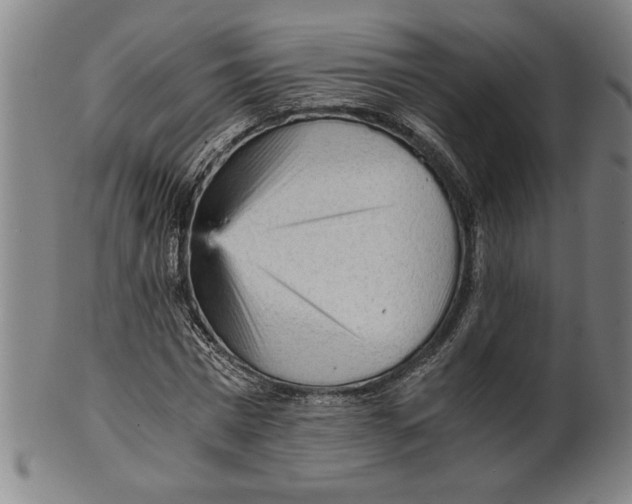 X0000101950777200808081505