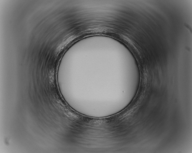 X0000101950778200808081505