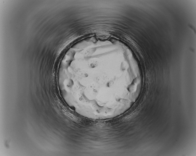 X0000101950779200808081505