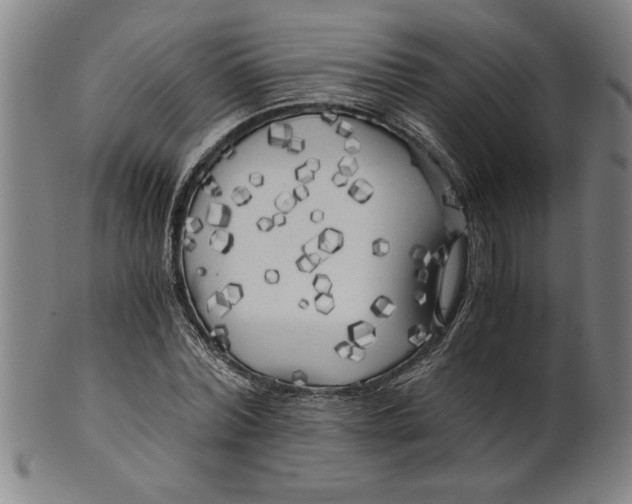 X0000101950780200808081505