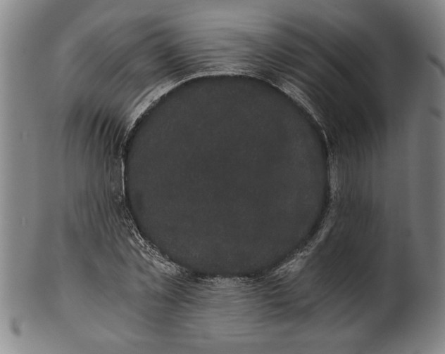 X0000101950781200808081505