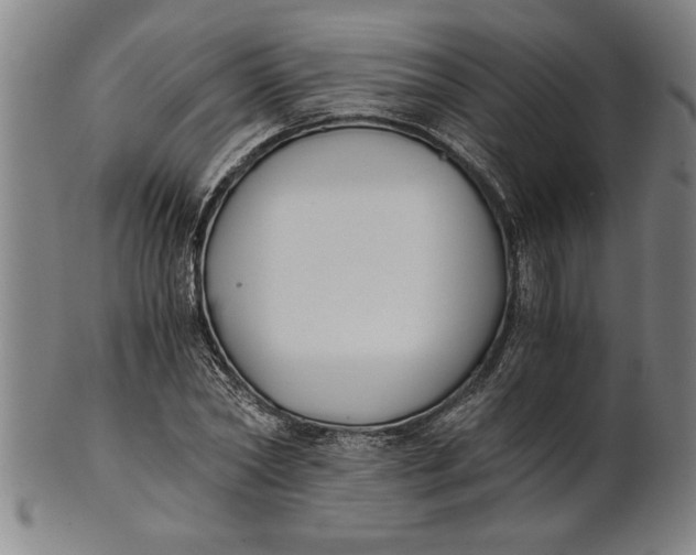 X0000101950782200808081504