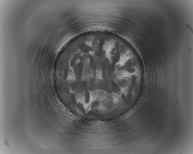 X0000101950783200808081504