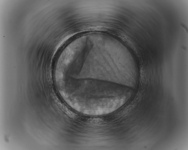 X0000101950784200808081504