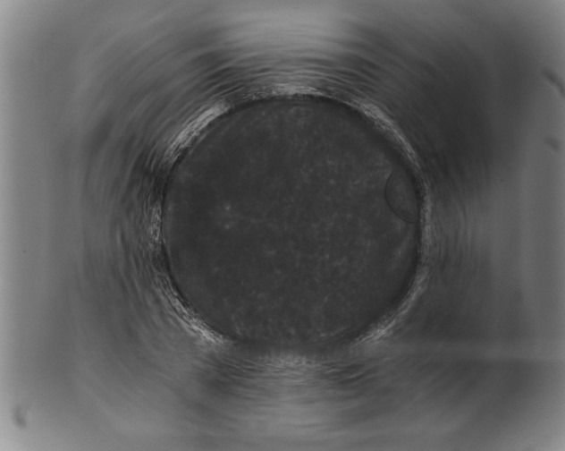 X0000101950785200808081504