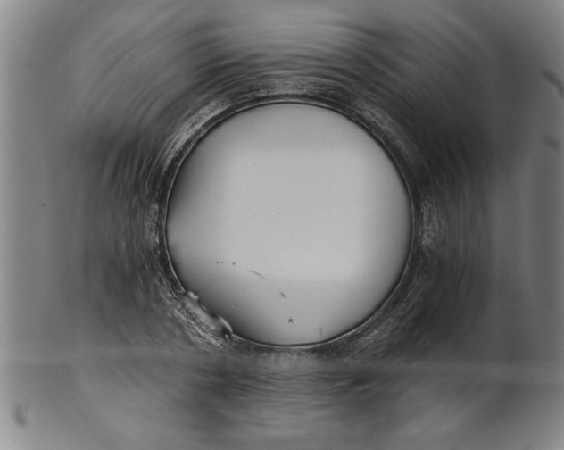 X0000101950786200808081504