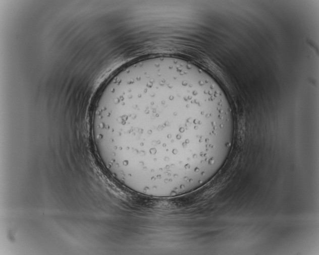 X0000101950787200808081504