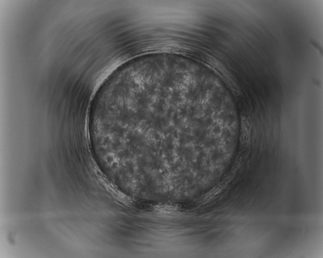 X0000101950788200808081504