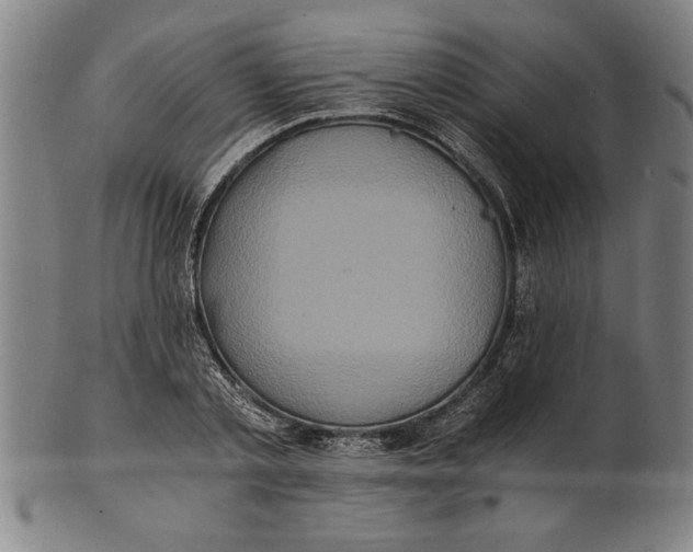X0000101950789200808081504