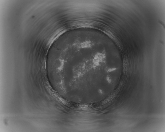 X0000101950790200808081504