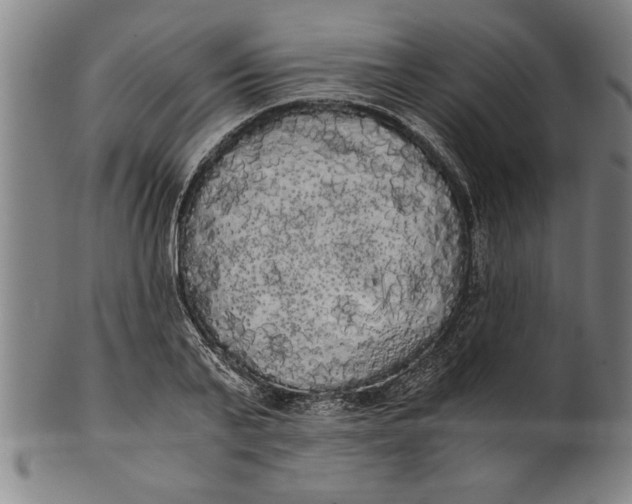 X0000101950791200808081504
